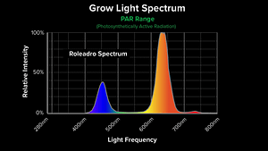 Roleadro Spectrum