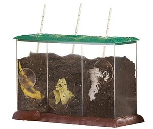 Kids Educational Worm Composter