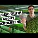 The Real Truth About Growing Microgreens For Profit
