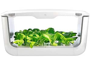 VegeBox Large Hydroponics Growing System with LED Garden Light, Indoor Herb Garden, Automatic Garden Kit