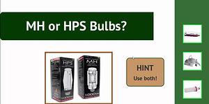 MH and HPS Bulbs