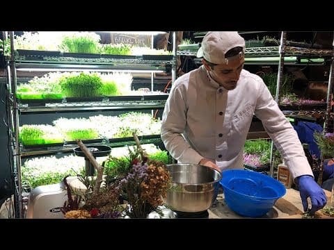 How one person made money on microgreens