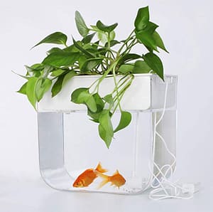 JoyFay Aquaponic Fish Tank