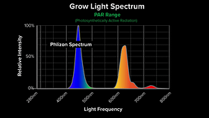 Philzon Spectrum