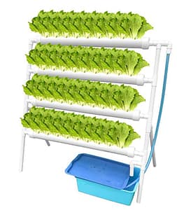 WePlant Hydroponic Growing Systems