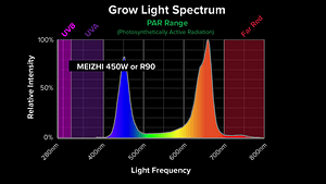Meizhi Spectrum